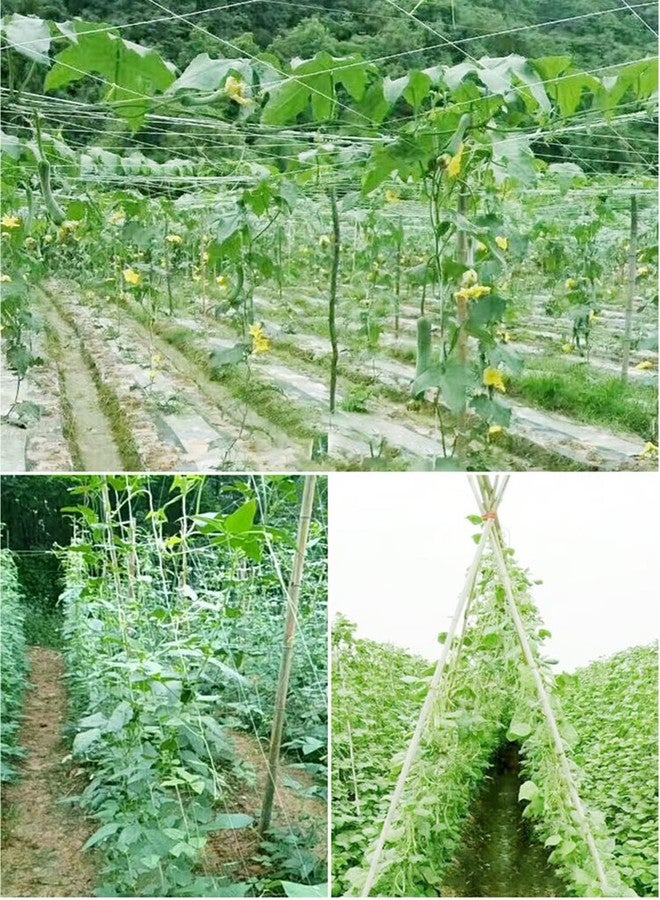 HHTHH White Trellis Netting 4x100 ft Heavy Duty Garden Netting Polypropylene Plant Support Net for Climbing Vegetables Fruits Flowers - Image 4